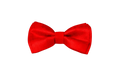 Handmade Italian Damask Fabric Dog Bow Tie | DIXY'S