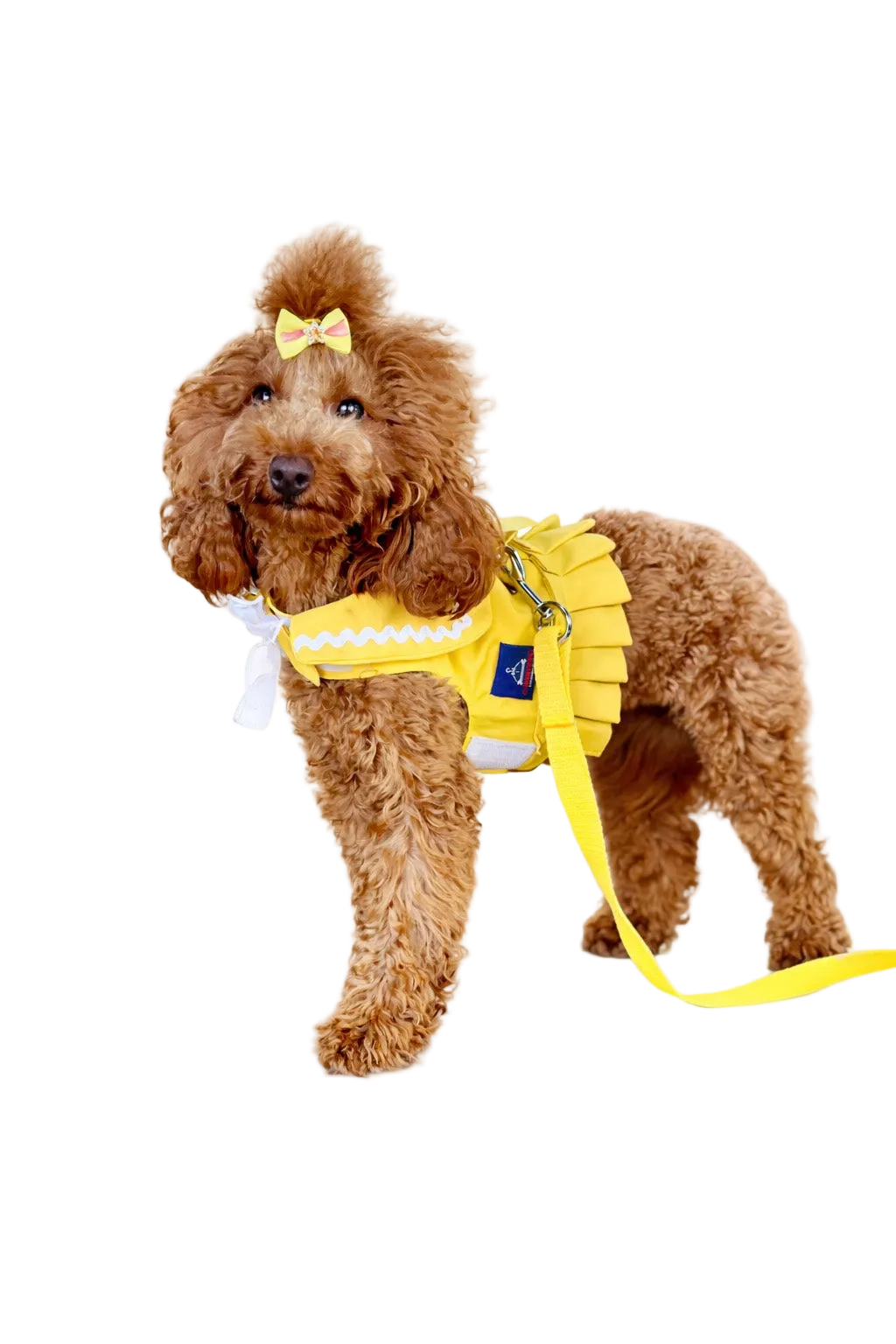 Sailor-style dog harness dress