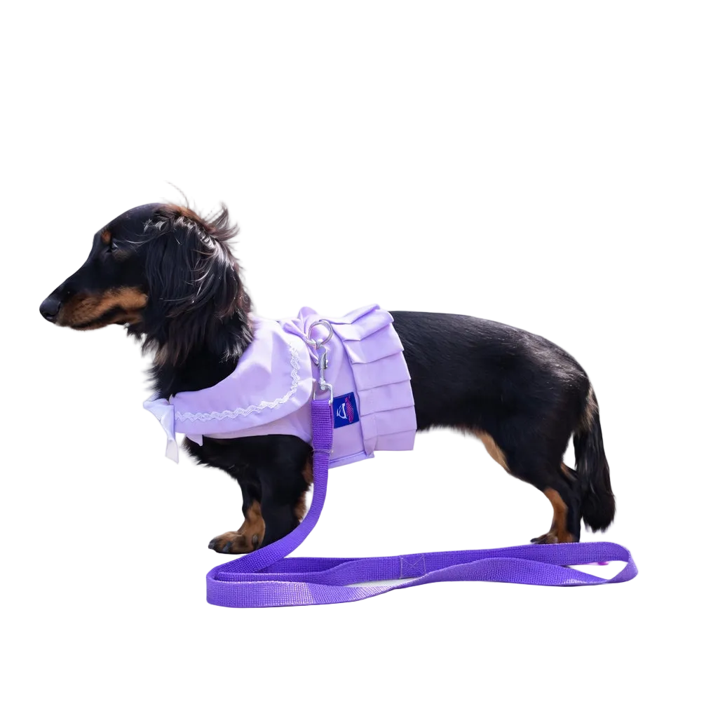 Sailor-style dog harness dress