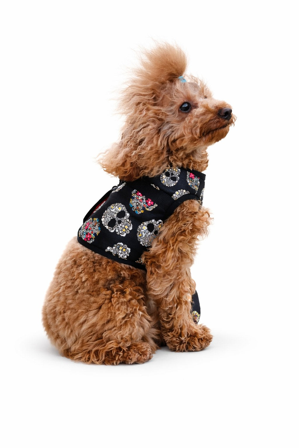 Gilet Impermeabile per Cane Rebel con fodera Faux Fur l Dventotto®
