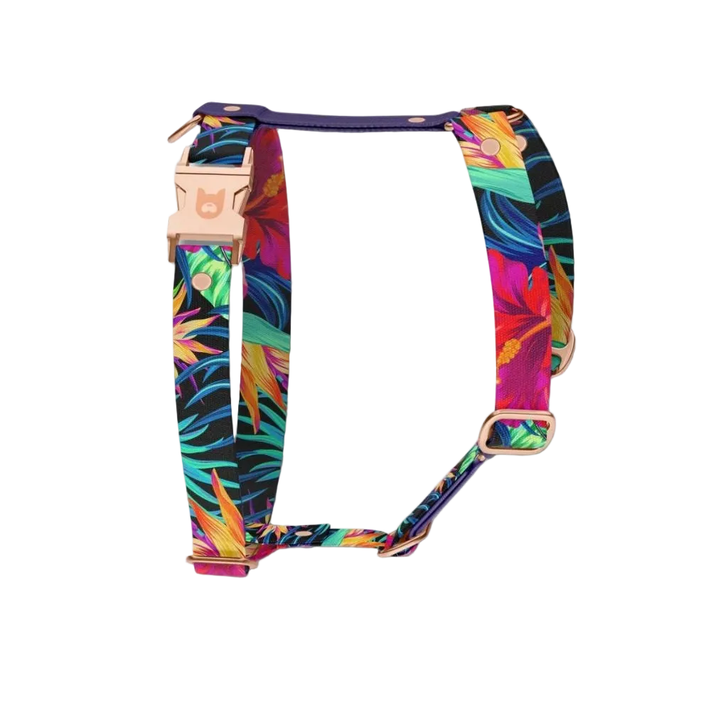 H Garden Dog Harness - adjustable and durable