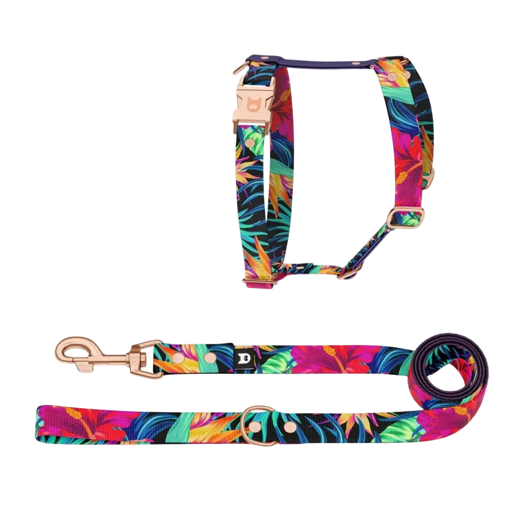Garden H-Harness and Leash Set for Dogs