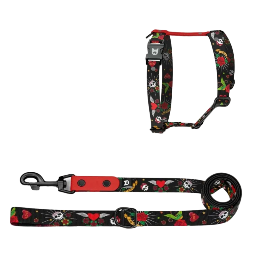 Rascal H-Harness and Leash Set for Dogs