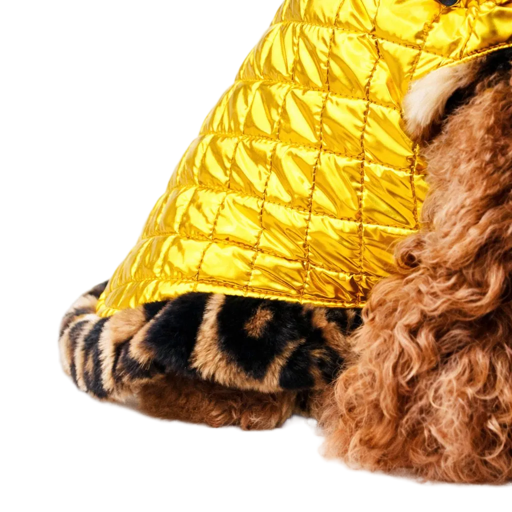 Dog Down Jacket Mod. Gold - Made in Italy | Dixystore