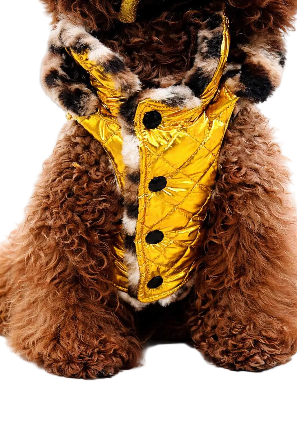 Dog Down Jacket Mod. Gold - Made in Italy | Dixystore