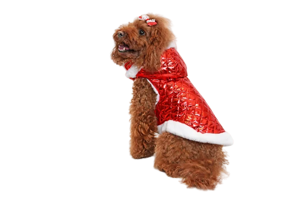 Ruby Dog Puffer Jacket | Dventotto®