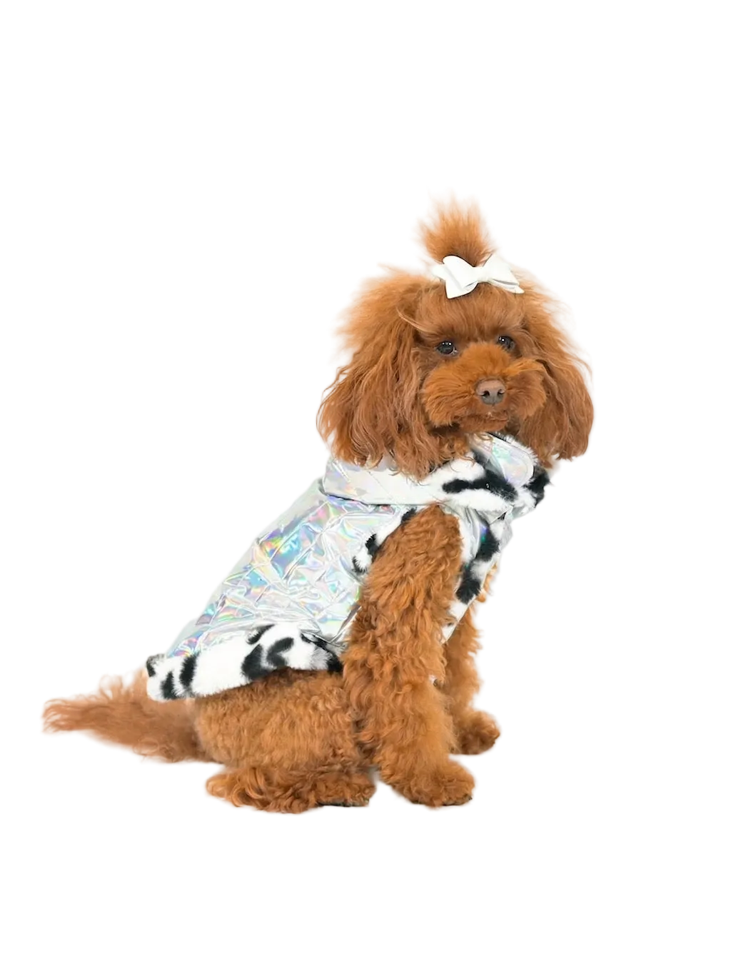 Techno Model Dog Puffer Jacket | Dventotto®