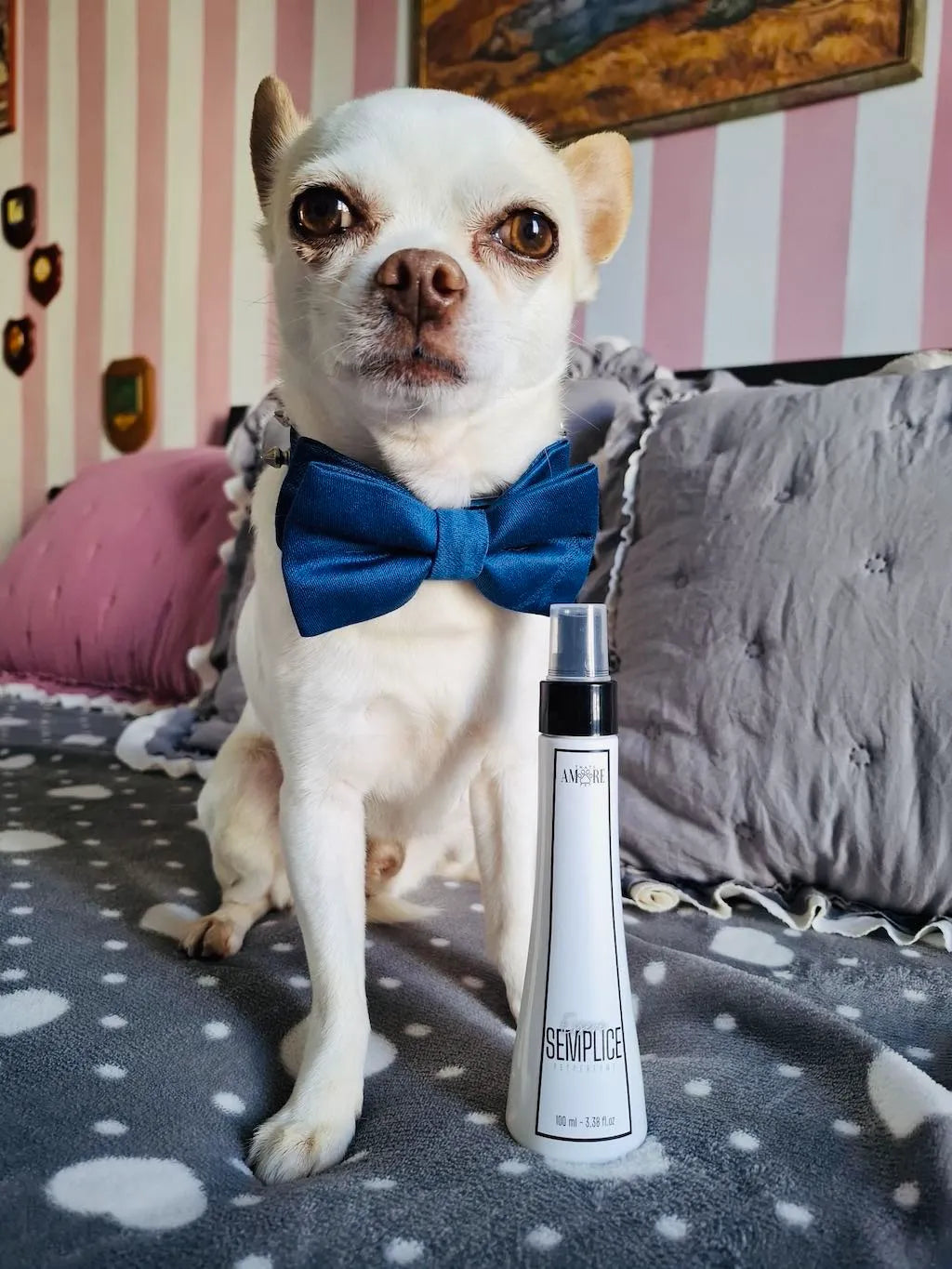 Simple Dog Perfume – Floral Notes with Citrus Accents