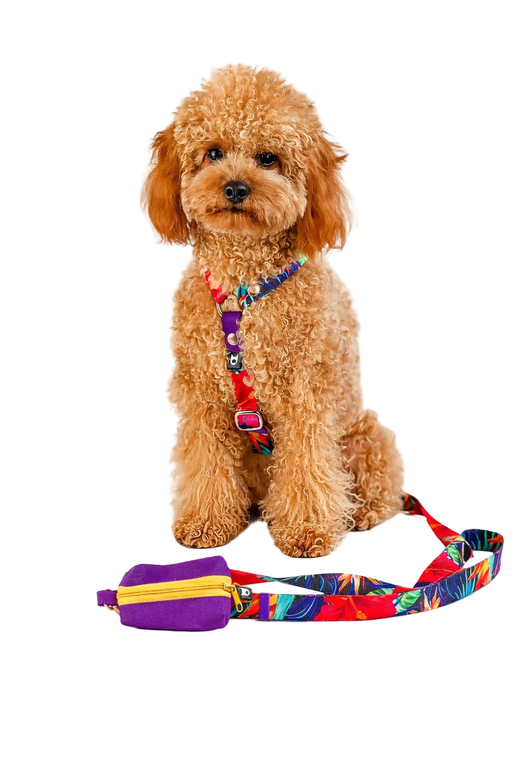 Garden H-Harness and Leash Set for Dogs
