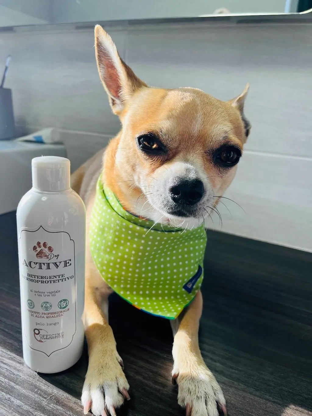 Dermo-protective Shampoo for Dogs with Activated Charcoal and Tea Tree Oil