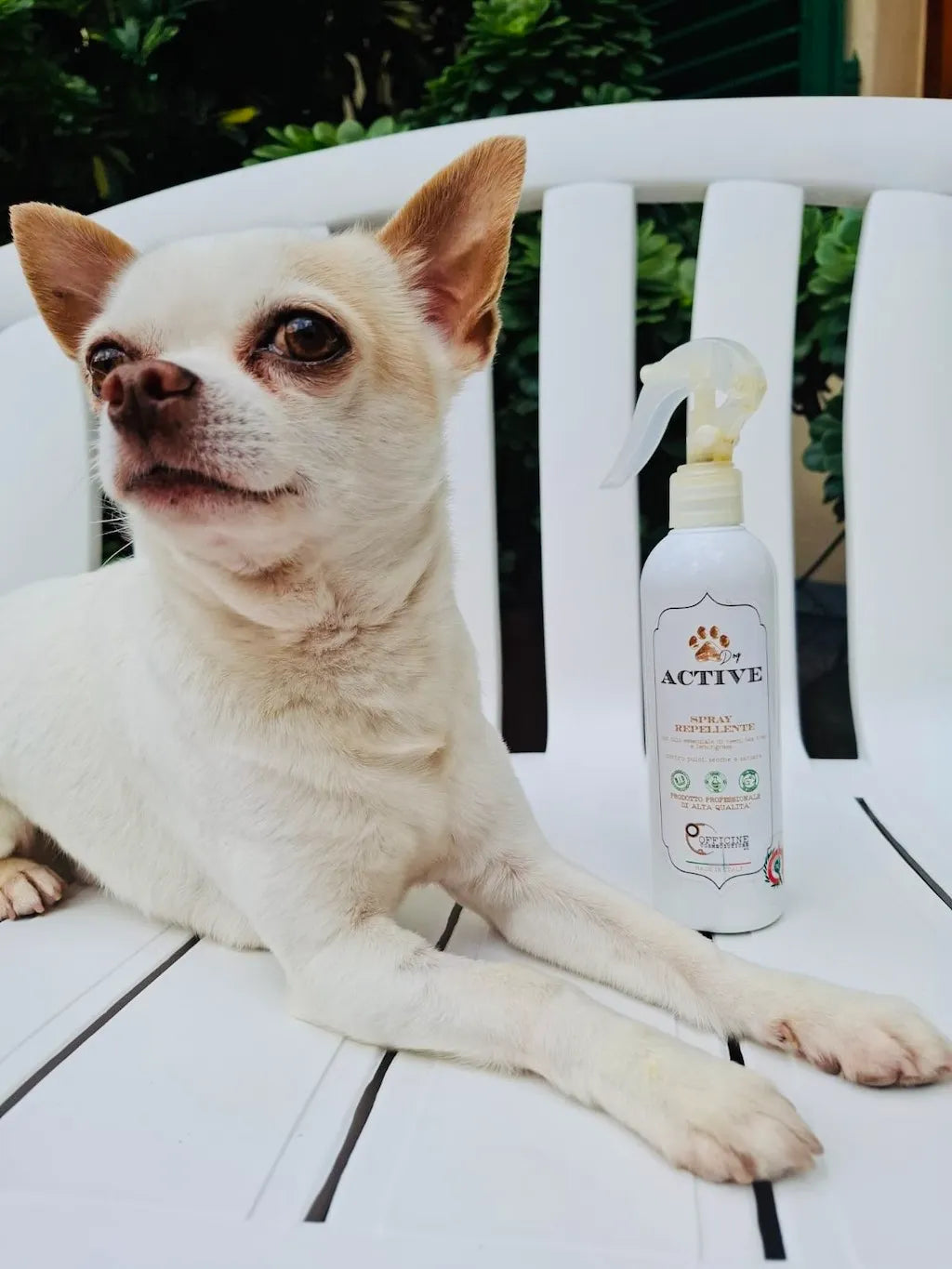 Spray Protettivo per Cane – Supporto contro Insetti e Parassiti con Olio di Neem