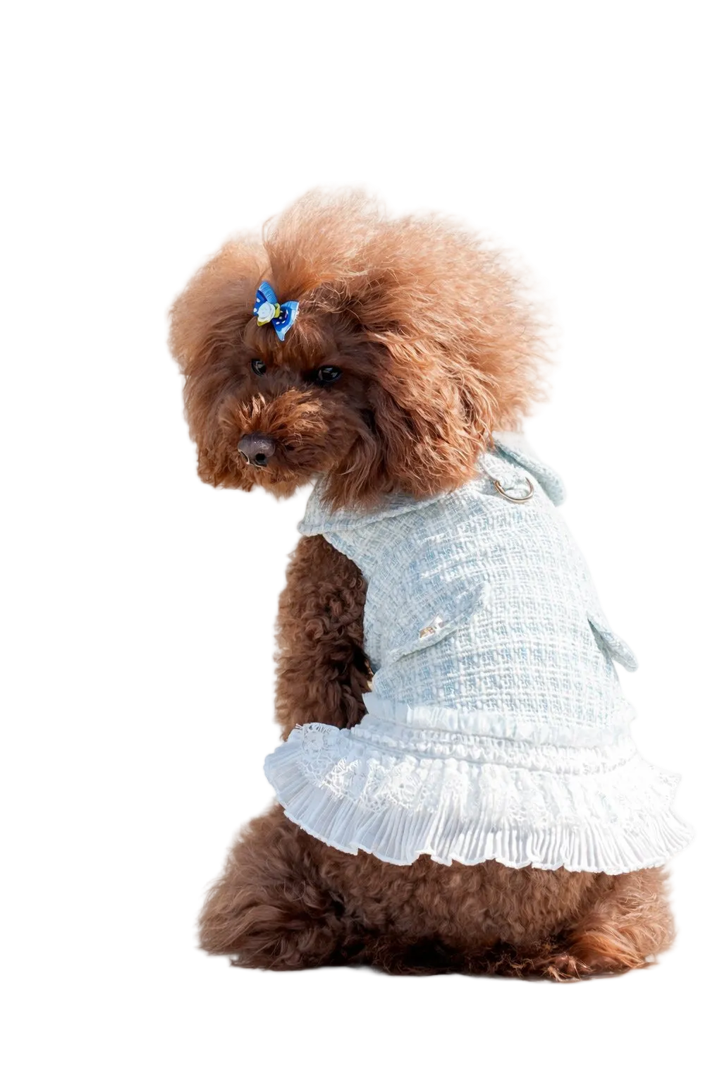 Elegant Renoir Chanel Style Dress for Dogs