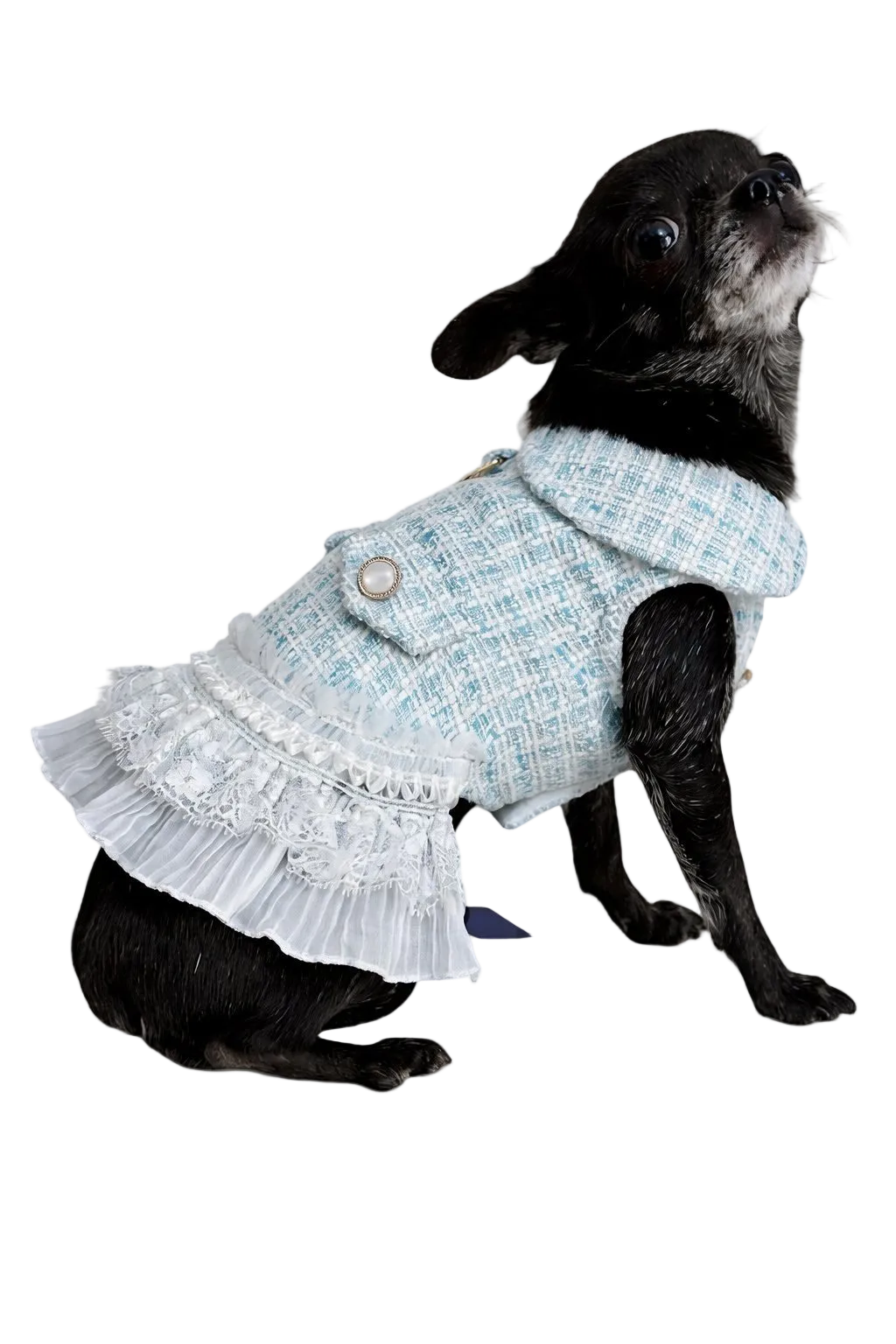 Elegant Renoir Chanel Style Dress for Dogs