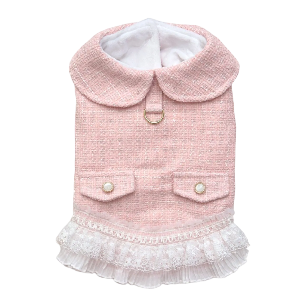 Elegant Renoir Chanel Style Dress for Dogs