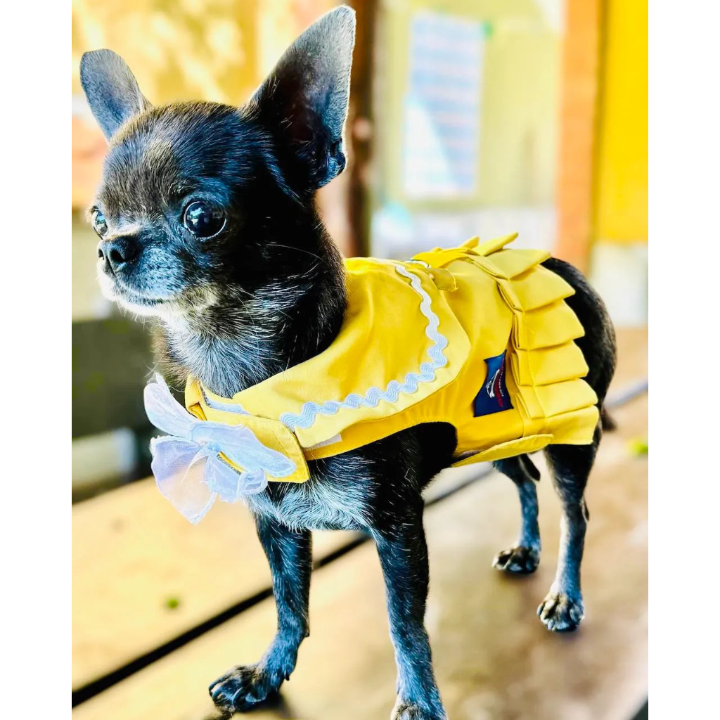 Sailor-style dog harness dress