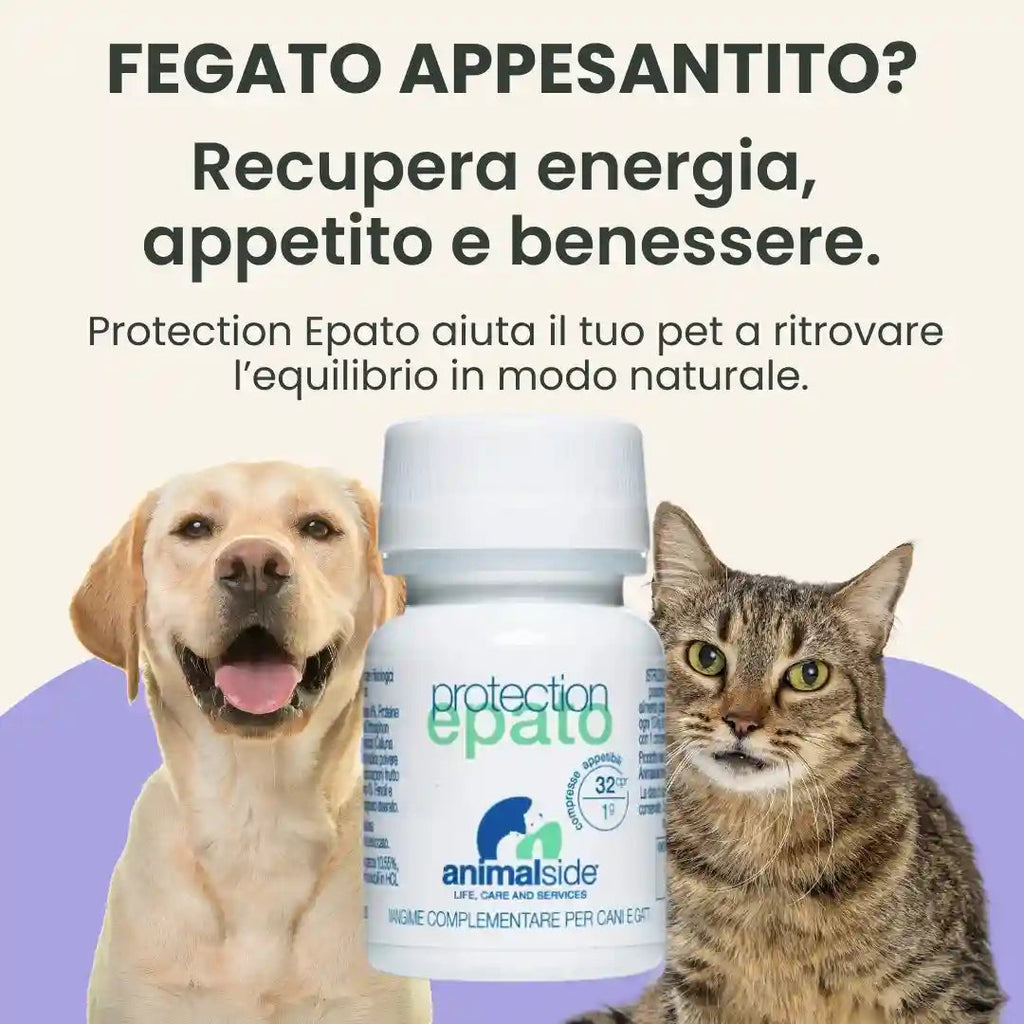 ProtectionEpato — Supporto Epatico per Cani e Gatti | DIXY'S