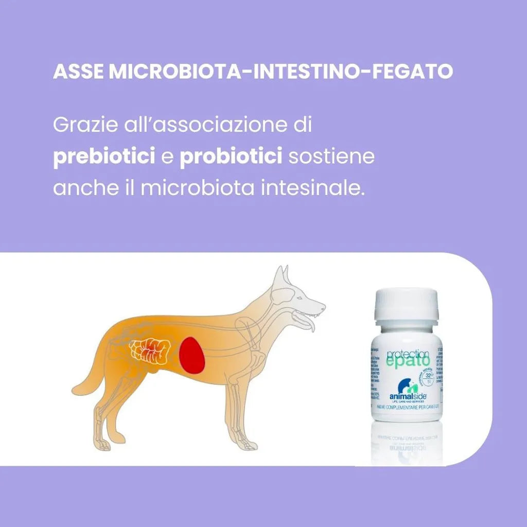 ProtectionEpato — Supporto Epatico per Cani e Gatti | DIXY'S