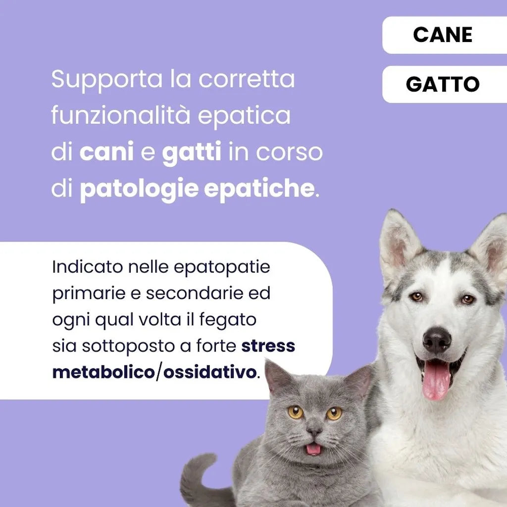 ProtectionEpato — Supporto Epatico per Cani e Gatti | DIXY'S