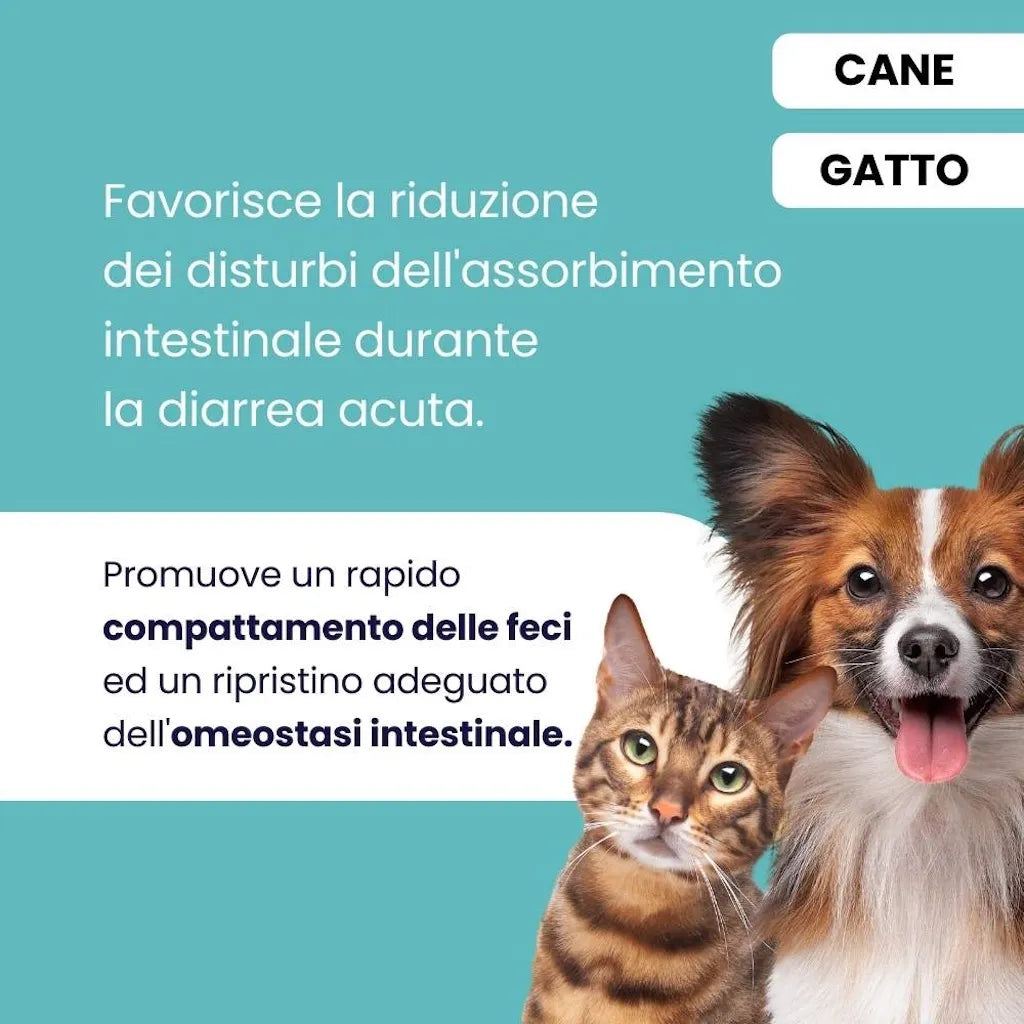 ProtectionGastro — Supporto Digestivo per Cani e Gatti | DIXY'S