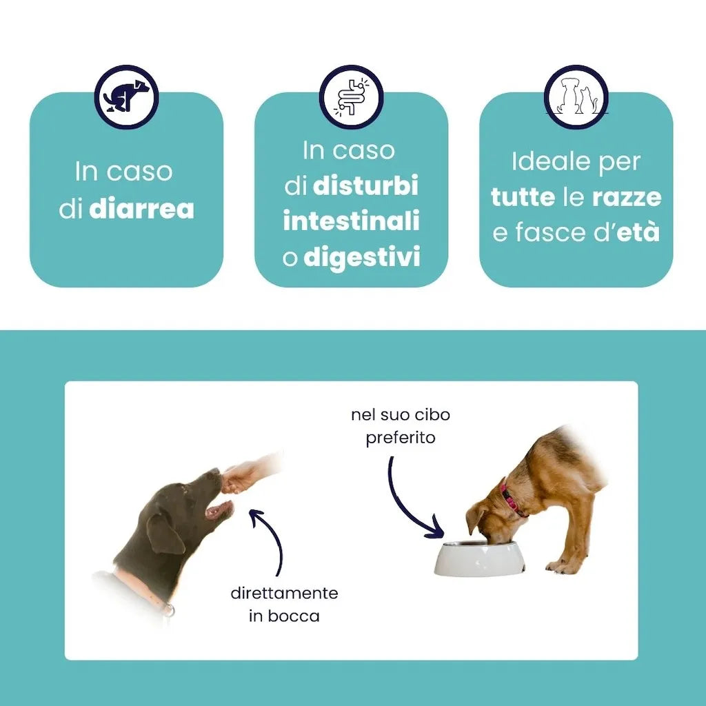 ProtectionGastro — Supporto Digestivo per Cani e Gatti | DIXY'S