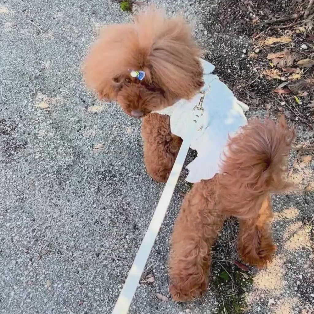 Elegant Renoir Chanel Style Dress for Dogs