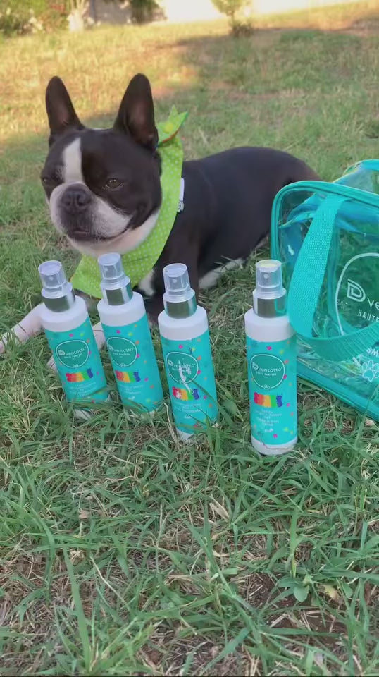 Essential Dog Travel Kits | Dventotto®