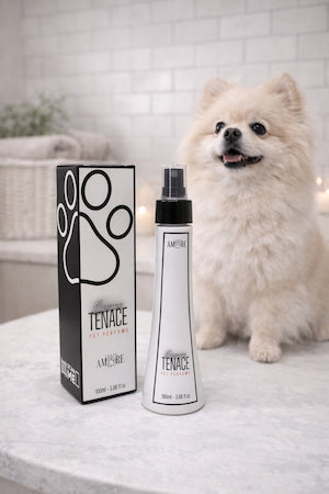 Long-lasting Dog Perfume – Marine Freshness and Green Notes